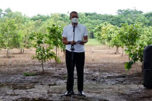 Capai Cirebon Hijau, 5 Ribu Pohon Ditanam Lagi di Kota Cirebon