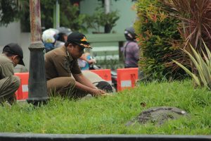 OPERASI BHAKTI PRAJA, POL PP BERSIHKAN TAMAN KOTA CIREBON