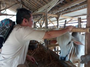 Dinas Kelautan,Perikanan,Pertanian Dan Peternakan (DKP3) Kota Cirebon Sidak Hewan Kurban