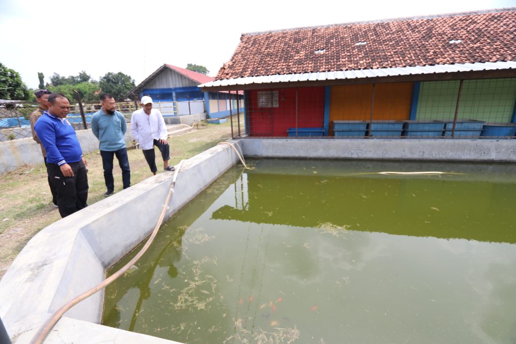 DKPPP Dorong BPBIAT Bisa Penuhi Kebutuhan Ikan di Kota Cirebon