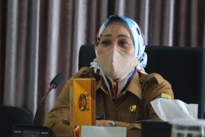 Wakil Wali Kota: Fokus Pembangunan di Jabar 2021 Pada Kesehatan, Jaring Pengaman Sosial dan Pemulihan Ekonomi