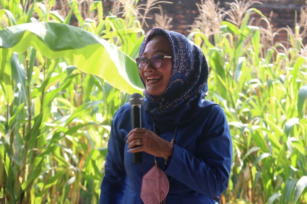 Manfaatkan Lahan Tidur untuk Lebih Produktif